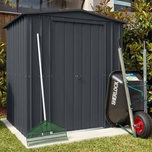 6' x 3' Globel Anthracite Grey Metal Shed (1.84m x 0.92m)