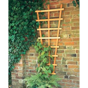 Forest Garden Forest 2' x 6' Decorative Fan Wall Trellis (0.66m x 1.83m)