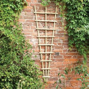 Forest Garden 6' x 2' Forest Traditional Pressure Treated Fan Trellis (1.8m x 0.6m)