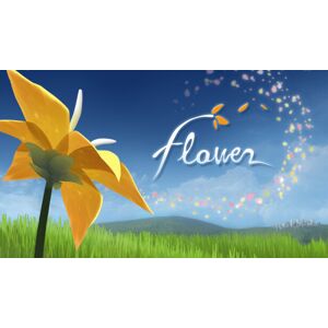 Annapurna Interactive Flower