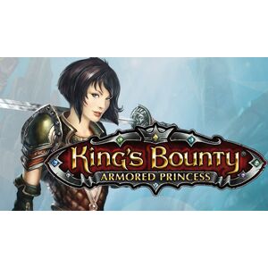 Fulqrum Publishing King&#x27;s Bounty: Armored Princess