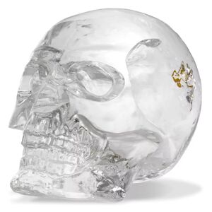 Philipp Plein Diamond Skull Ornaments & Sculptures Gold finish   Clear glass