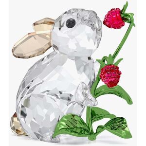 Swarovski Idyllia Rabbit And Raspberries Figurine 5702437 Swarovski Idyllia Rabbit And Raspberries Figurine 5702437
