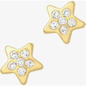 Fashionista Gold 9ct 6mm Cubic Zirconia Star Stud Earrings 1.58.8969 Fashionista Gold 9ct 6mm Cubic Zirconia Star Stud Earrings 1.58.8969