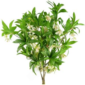 Pegdev Pack of 6 90cm Artificial Hainan Elaeocarpus Stem Green Foliage in Cream Cream Pegdev Pack of 6 90cm Artificial Hainan Elaeocarpus Stem Green Foliage in Cream Cream