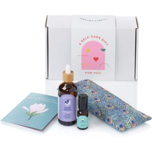 Clarity Blend Wellness Necessities Small Aromatherapy Pamper Set Multicolor Clarity Blend Wellness Necessities Small Aromatherapy Pamper Set Multicolor