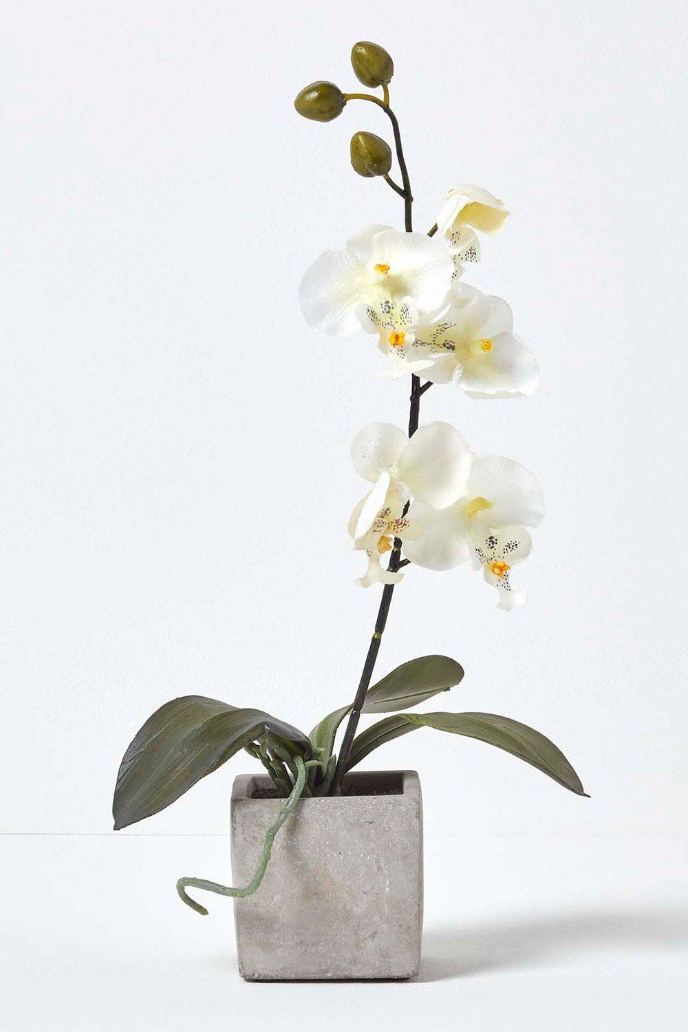 Homescapes Artificial Orchid Flowers in Pot for Indoor & Outdoor Decoration