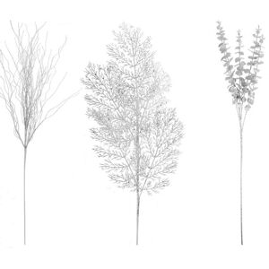 VFM e-Store Christmas Decoration pick Varied Designs 75. 2 x 30. 2 x 11. 5cm Silver x 1 Pick Silver VFM e-Store Christmas Decoration pick Varied Designs 75. 2 x 30. 2 x 11. 5cm Silver x 1 Pick Silver