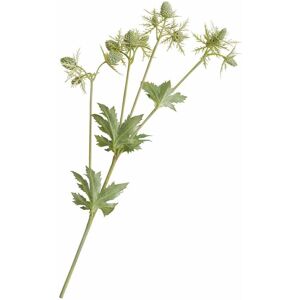 Bloom Artificial Single Green Sea Holly Stem - Faux Fake Silk Flower Indoor Home Floral Decoration - Measures L55cm Green Bloom Artificial Single Green Sea Holly Stem - Faux Fake Silk Flower Indoor Home Floral Decoration - Measures L55cm Green