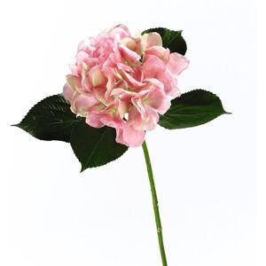 Bloom Artificial Single Pink Hydrangea Stem - Faux Fake Silk Flower Indoor Home Floral Decoration - Measures L60cm Pink Bloom Artificial Single Pink Hydrangea Stem - Faux Fake Silk Flower Indoor Home Floral Decoration - Measures L60cm Pink