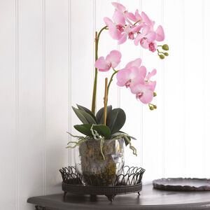 Bloom Artificial Pink Double Phalaenopsis Plant in Vase - Faux Fake Orchid Houseplant Floral Home Decoration - H60cm x W30cm Pink Bloom Artificial Pink Double Phalaenopsis Plant in Vase - Faux Fake Orchid Houseplant Floral Home Decoration - H60cm x W30cm Pink