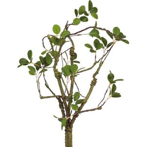 Bloom Artificial Single Jasmine Leaf Stem - Faux Fake Silk Flower Indoor Home Floral Decoration - Measures L72cm in Green Green Bloom Artificial Single Jasmine Leaf Stem - Faux Fake Silk Flower Indoor Home Floral Decoration - Measures L72cm in Green Green