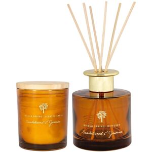 Nicola Spring Sandalwood & Jasmine Candle & Diffuser Set - 130g Jar + 200ml Diffuser in Orange Orange Nicola Spring Sandalwood & Jasmine Candle & Diffuser Set - 130g Jar + 200ml Diffuser in Orange Orange