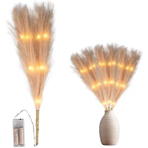 Shatchi 45cm Prelit Pampas Grass Warm White LEDs Battery-Operated Christmas Artificial Flowers for Boho Room Decorations in Gold Gold Shatchi 45cm Prelit Pampas Grass Warm White LEDs Battery-Operated Christmas Artificial Flowers for Boho Room Decorations in Gold Gold