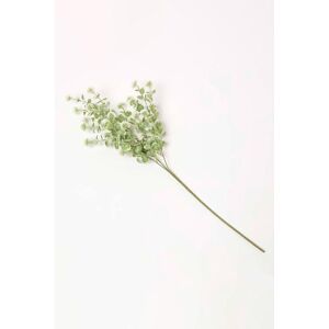 Homescapes Artificial Branch with Small White Flowers, 66 cm in Green Green Homescapes Artificial Branch with Small White Flowers, 66 cm in Green Green