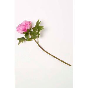 Homescapes Artificial Stem of Dried Peony Flowers in Pink Pink Homescapes Artificial Stem of Dried Peony Flowers in Pink Pink