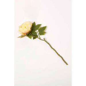 Homescapes Artificial Stem of Dried Peony Flowers in Yellow Yellow Homescapes Artificial Stem of Dried Peony Flowers in Yellow Yellow