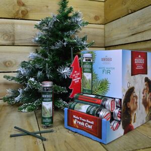 Samuel Alexander 25g White Winter Fir Scented Christmas Scentsicles with 6 Hanging Hooks in Green Green Samuel Alexander 25g White Winter Fir Scented Christmas Scentsicles with 6 Hanging Hooks in Green Green