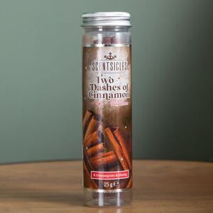 Samuel Alexander 25g Two Dashes of Cinnamon Scented Christmas Scentsicles with 6 Hanging Hooks in Green Green Samuel Alexander 25g Two Dashes of Cinnamon Scented Christmas Scentsicles with 6 Hanging Hooks in Green Green