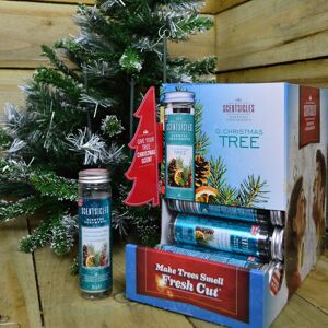 Samuel Alexander 25g O Christmas Tree Scented Christmas Scentsicles with 6 Hanging Hooks in Green Green Samuel Alexander 25g O Christmas Tree Scented Christmas Scentsicles with 6 Hanging Hooks in Green Green