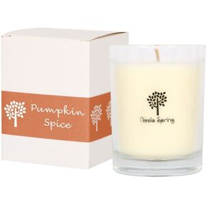 Nicola Spring 160g Pumpkin Spice Soy Wax Candle - Autumn Spiced Scented Jar Gift in Clear Clear Nicola Spring 160g Pumpkin Spice Soy Wax Candle - Autumn Spiced Scented Jar Gift in Clear Clear