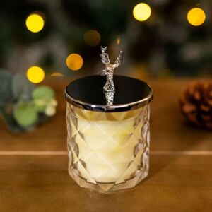 Marco Paul Stag Silver Candle Lemon & Lavender Scented Candle Glass Jar Candle in Clear Clear Marco Paul Stag Silver Candle Lemon & Lavender Scented Candle Glass Jar Candle in Clear Clear