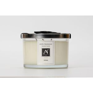 Aroma Naturals Minimalist Luxe Infame 2-Wick Scented Candle in White Size: Small White Small Aroma Naturals Minimalist Luxe Infame 2-Wick Scented Candle in White Size: Small White Small