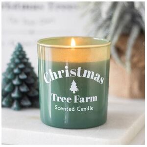 KDMD Christmas Tree Farm Scented Candle in Teal Teal KDMD Christmas Tree Farm Scented Candle in Teal Teal