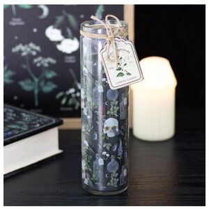 KDMD Poisonous Plants Deadly Nightshade Tube Candle in Black Black KDMD Poisonous Plants Deadly Nightshade Tube Candle in Black Black