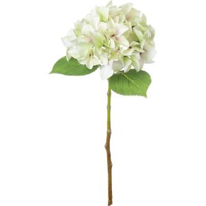 Hill Interiors Shabby Hydrangea Artificial Flower in Green Green Hill Interiors Shabby Hydrangea Artificial Flower in Green Green