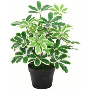 Leaf 55cm Variegated Artificial Schefflera Arboricola Plant in Green Green Leaf 55cm Variegated Artificial Schefflera Arboricola Plant in Green Green
