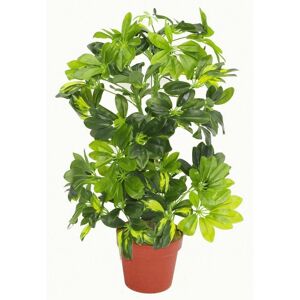 Leaf 75cm Artificial Arboricola Gold Capella Plant in Green Green Leaf 75cm Artificial Arboricola Gold Capella Plant in Green Green