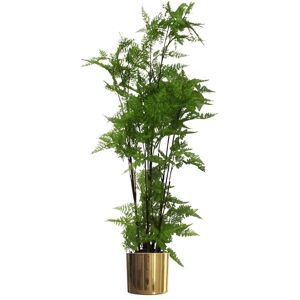 Leaf - Fern Moss Base - 150cm - Artificial Plant Leaf - Fern Moss Base - 150cm - Artificial Plant