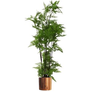 Leaf 150cm Artificial Natural Moss Base Fern Foliage Plant with Copper Metal Plater in Green Green Leaf 150cm Artificial Natural Moss Base Fern Foliage Plant with Copper Metal Plater in Green Green