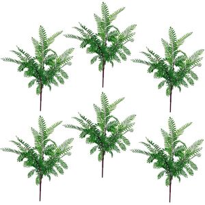 Leaf 6 x 55cm Himilayan Maidenhair Fern Bush Dark Green Plant Size: 6 x 55 cm Green 6 x 55 cm Leaf 6 x 55cm Himilayan Maidenhair Fern Bush Dark Green Plant Size: 6 x 55 cm Green 6 x 55 cm