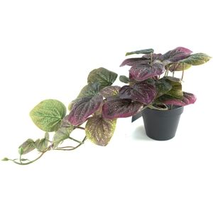 Leaf 35cm Artificial Trailing Purple Potted Pothos Plant Purple Leaf 35cm Artificial Trailing Purple Potted Pothos Plant Purple