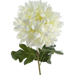 Leaf 75cm Extra Large Reflex Chrysanthemum - White White Leaf 75cm Extra Large Reflex Chrysanthemum - White White
