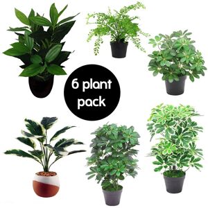 Leaf Pack of 6 Artificial Foliage Plants in Green Green Leaf Pack of 6 Artificial Foliage Plants in Green Green