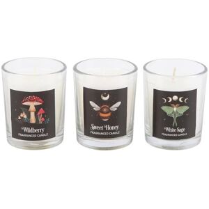 Something Different Dark Forest Trio Votive Candles (Pack of 3) in White White Something Different Dark Forest Trio Votive Candles (Pack of 3) in White White
