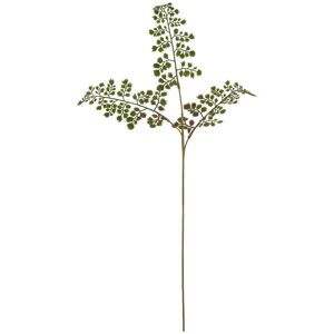 Hill Interiors The Natural Garden Collection Maidenhair Fern Artificial Flower in Green Green Hill Interiors The Natural Garden Collection Maidenhair Fern Artificial Flower in Green Green