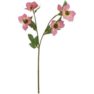 Hill Interiors The Natural Garden Collection Varigated Hellibore Artificial Flower in Pink Pink Hill Interiors The Natural Garden Collection Varigated Hellibore Artificial Flower in Pink Pink