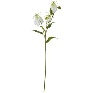 Hill Interiors Gloriosa Spray Artificial Flower in Cream Cream Hill Interiors Gloriosa Spray Artificial Flower in Cream Cream