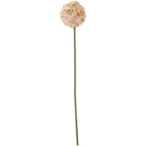 Hill Interiors The Natural Garden Collection Allium Artificial Flower in Green Green Hill Interiors The Natural Garden Collection Allium Artificial Flower in Green Green