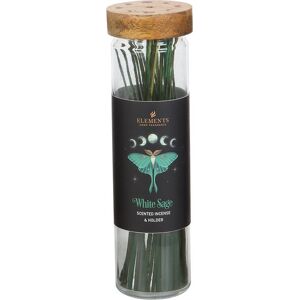 Something Different Dark Forest White Sage Incense Sticks (Pack of 20) in Green Green Something Different Dark Forest White Sage Incense Sticks (Pack of 20) in Green Green