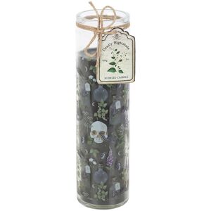 Something Different Deadly Nightshade Poisonous Plants Tube Candle Multicolor Something Different Deadly Nightshade Poisonous Plants Tube Candle Multicolor