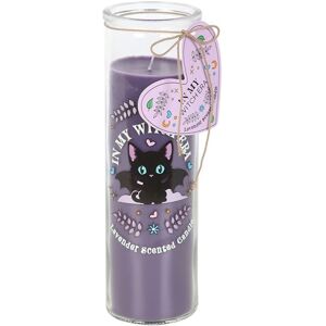 Something Different Of Whiskers & Wings Lavender Tube Candle in Purple Purple Something Different Of Whiskers & Wings Lavender Tube Candle in Purple Purple