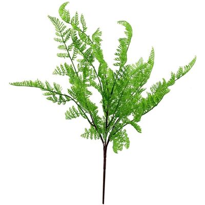 Leaf Design UK - Southern Wood Fern Bush - 50cm - Plant Leaf Design UK - Southern Wood Fern Bush - 50cm - Plant