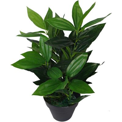 Leaf Design UK Artificial Foliage Plant - 70cm Green Unisex Leaf Design UK Artificial Foliage Plant - 70cm Green Unisex