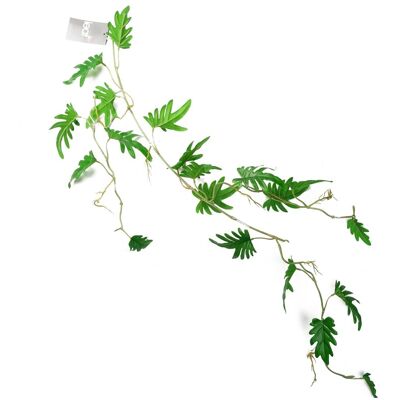 Plant Small Leaf - Hanging Trailing Philodendron - 100cm - Plant Plant Small Leaf - Hanging Trailing Philodendron - 100cm - Plant