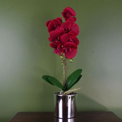 Leaf 46cm Artificial Orchid Red - Artificial Orchid Leaf 46cm Artificial Orchid Red - Artificial Orchid